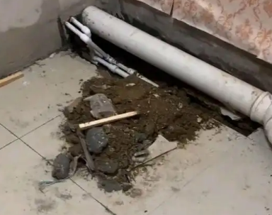 麻阳卫生间漏水检测哪家好
