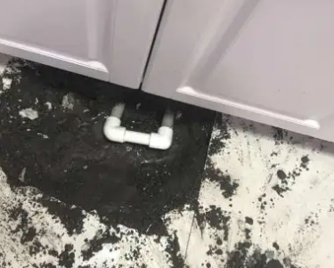 麻阳查漏水哪家好